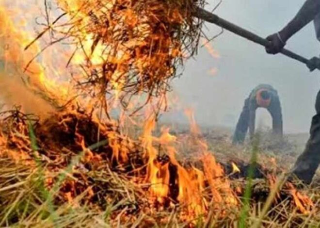 पराली जलाने पर सख्ती: 15 महीने के लिए ‘रेड कैटेगरी’ में दर्ज होगी खेत की जमीन, जुर्माना भी रहेगा बरकरार