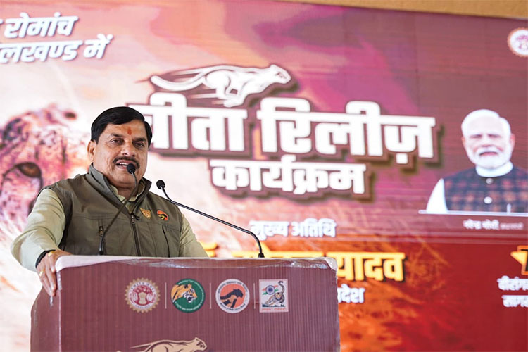 सीएम डॉ. मोहन यादव ने नौरादेही सेंक्चुरी में छोड़े 2 चीते’ कहा- इनकी बसाहट के लिए सबसे बेहतर है मध्यप्रदेश