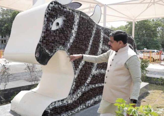 आशीर्वाद का दीया आयोजन के तहत उपयोग किए गए दीयों से बनी नंदी की भव्य आकृति